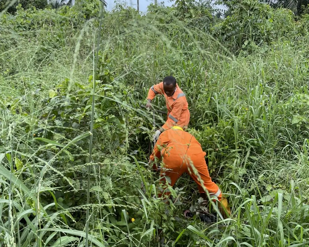 Apex Analytics Limited Project Snapshot