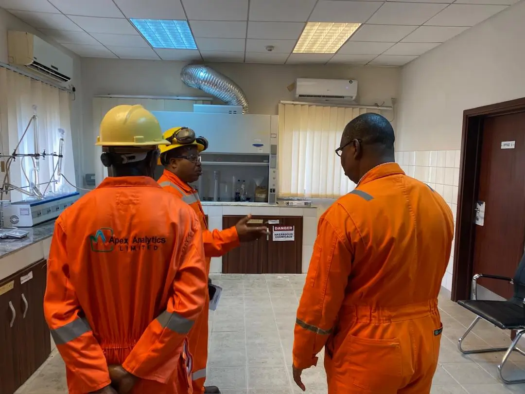 Apex Analytics Limited Project Snapshot