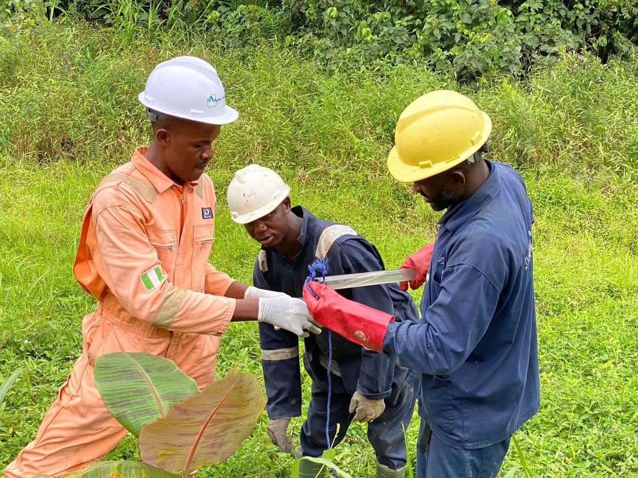 Apex Analytics Limited Service Image